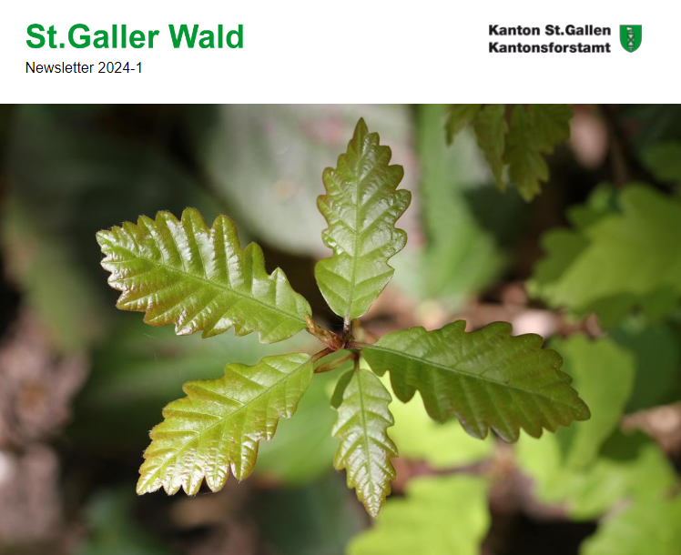 St.Galler Wald 2023-4